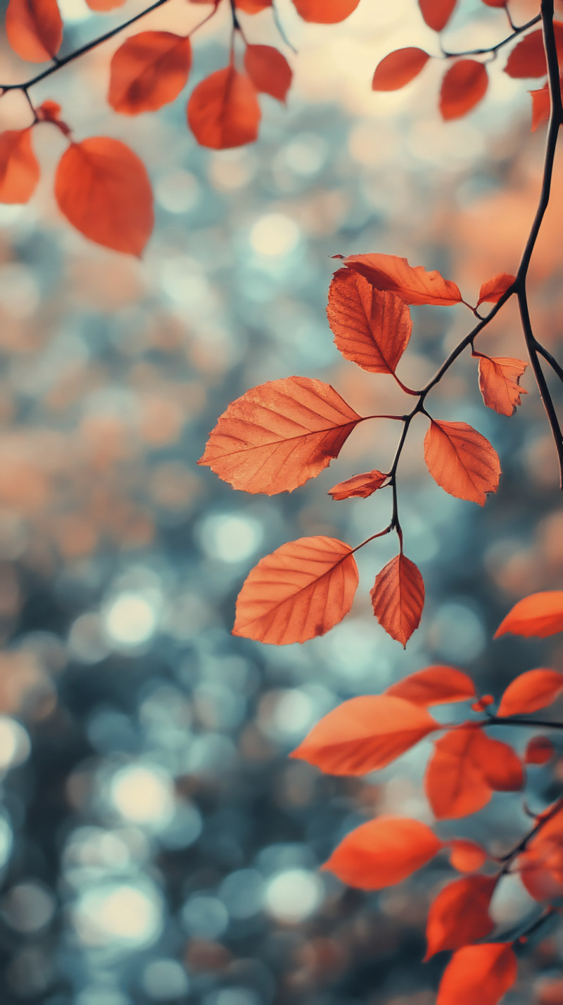 Orange Fall Leaves Against Blue Bokeh
